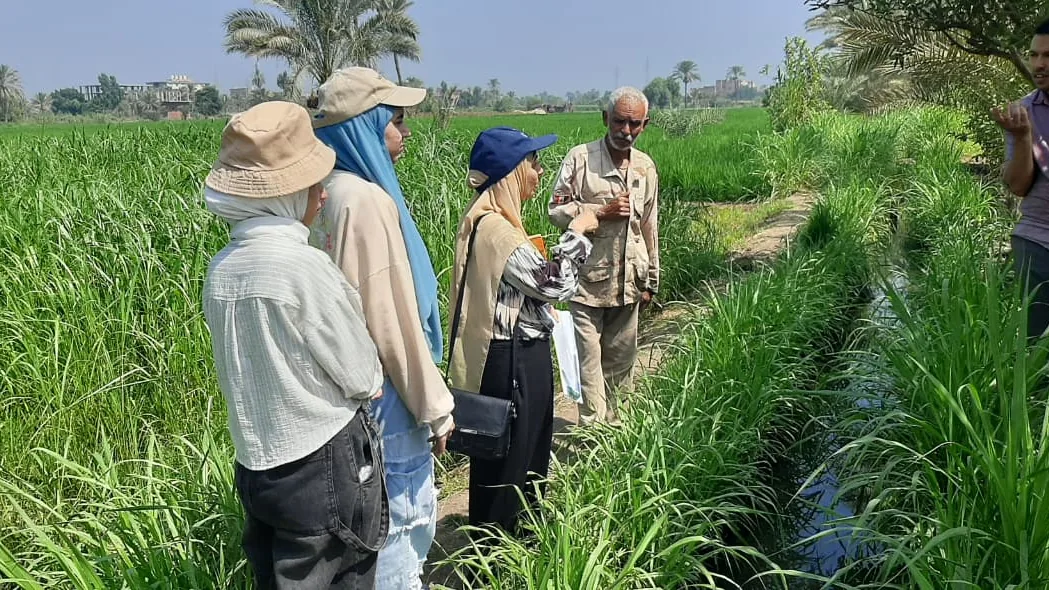 The EcoCyan team inspecting the crop during field evaluation